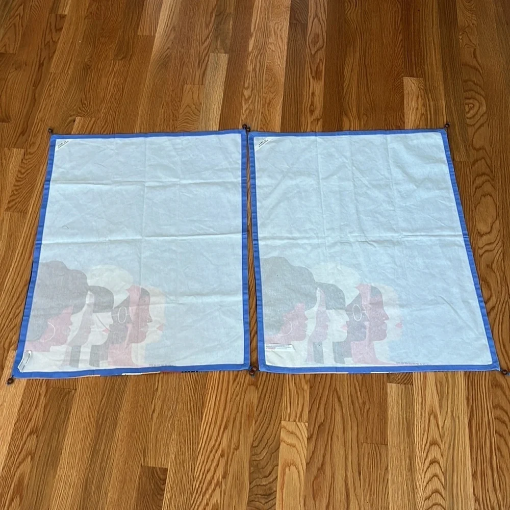 New BUNDLE 2 Year of Woman Empower Female Peasant Hipster Dish Towels